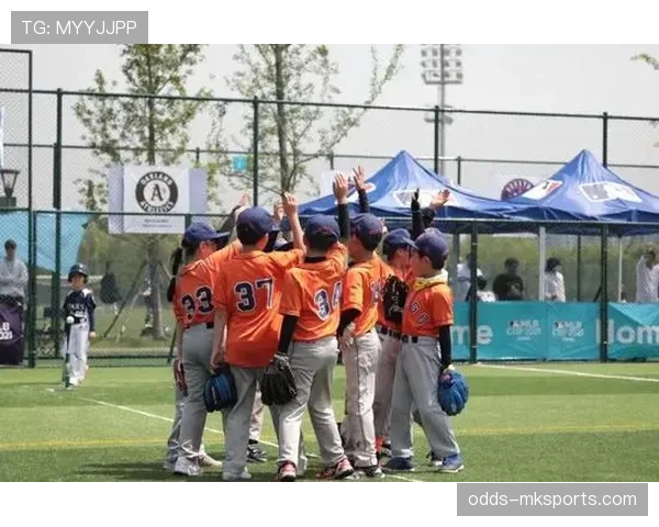 球门尺寸规则成人比赛标准尺寸与青少年适用差异