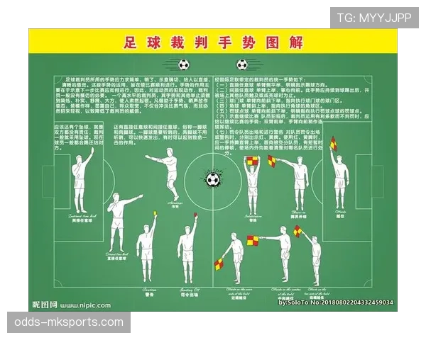 裁判手势图解：常见信号含义与判罚依据
