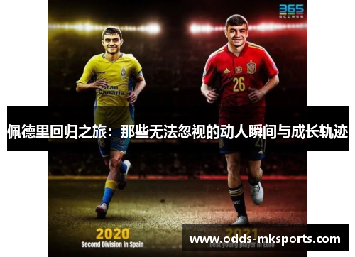 佩德里回归之旅：那些无法忽视的动人瞬间与成长轨迹