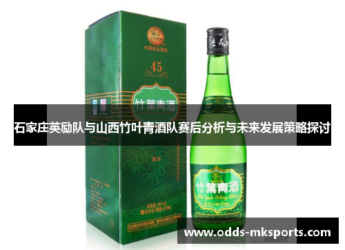 石家庄英励队与山西竹叶青酒队赛后分析与未来发展策略探讨