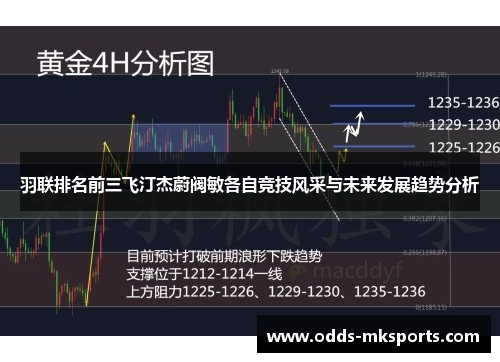 羽联排名前三飞汀杰蔚阀敏各自竞技风采与未来发展趋势分析