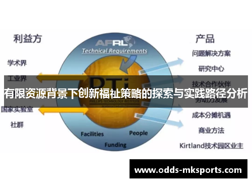 有限资源背景下创新福祉策略的探索与实践路径分析