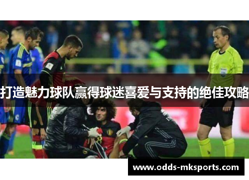 打造魅力球队赢得球迷喜爱与支持的绝佳攻略