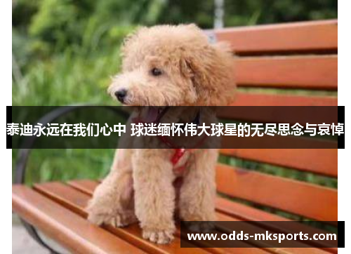 泰迪永远在我们心中 球迷缅怀伟大球星的无尽思念与哀悼