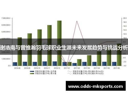 谢浩南与曾维瀚羽毛球职业生涯未来发展趋势与挑战分析
