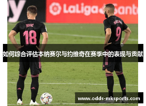 如何综合评估本纳赛尔与约维奇在赛季中的表现与贡献